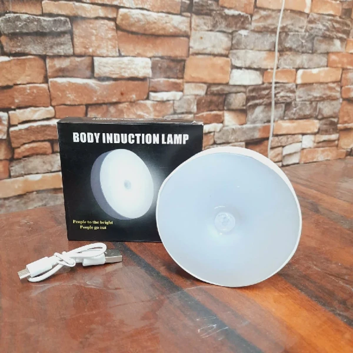 Body Induction Sensor Light