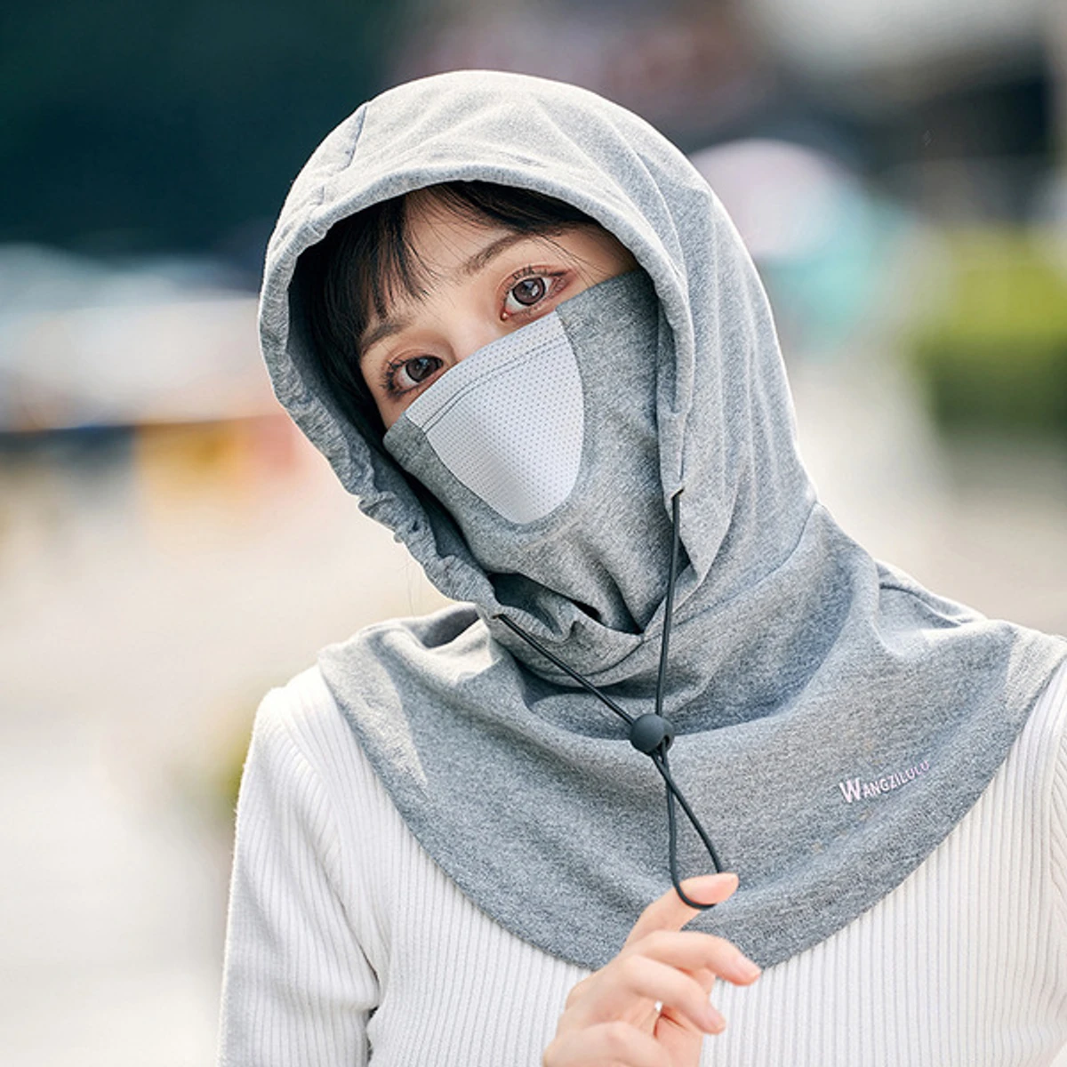 Balaclava Windproof Full Face Mask (Gray)